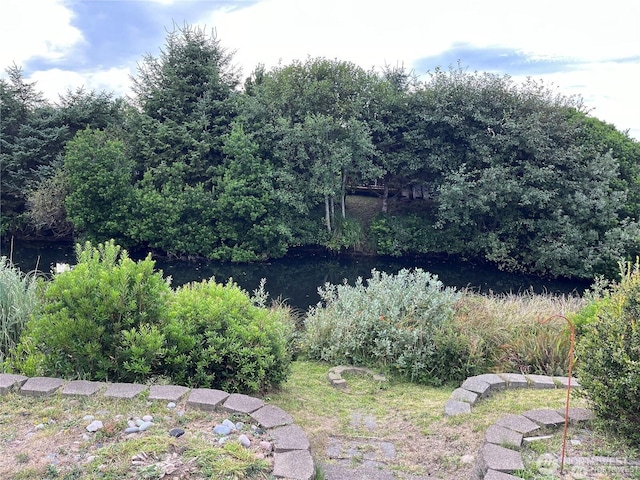 view of yard featuring a water view