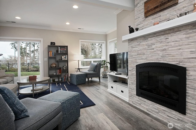 living room with a fireplace, wood finished floors, crown molding, and plenty of natural light
