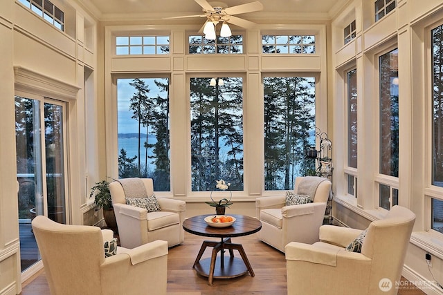 sunroom featuring wood finished floors