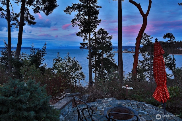 property view of water featuring a fire pit