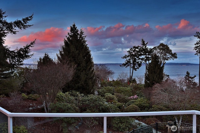 property view of water