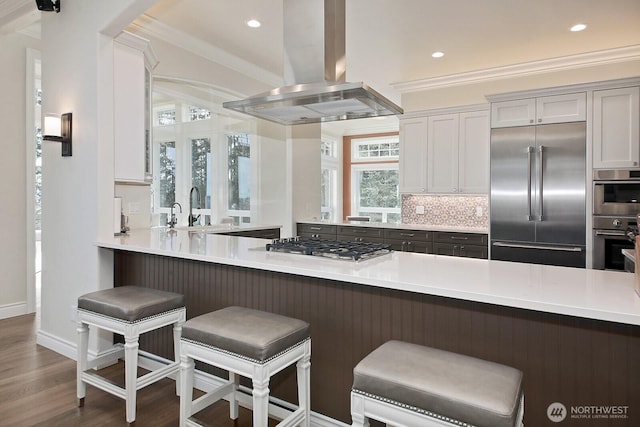 kitchen with ornamental molding, tasteful backsplash, dark wood-type flooring, appliances with stainless steel finishes, and island range hood