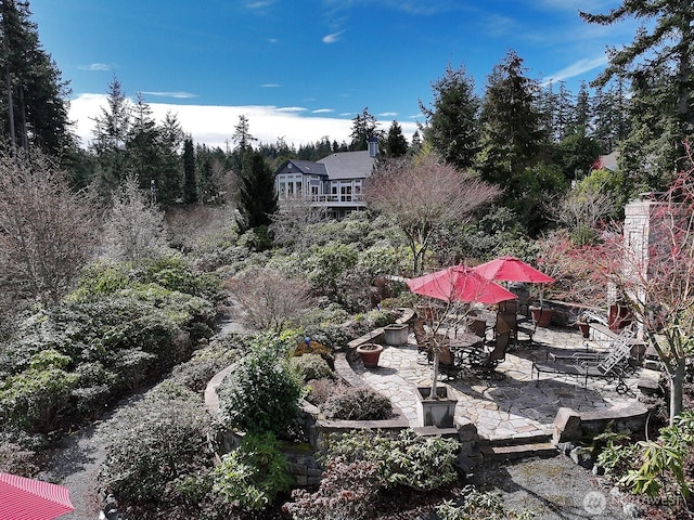 view of yard featuring a patio