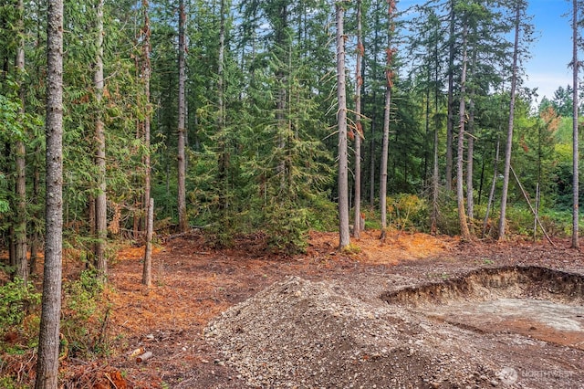 27577 207th Ave SE, Maple Valley, WA 98038 - photo 8