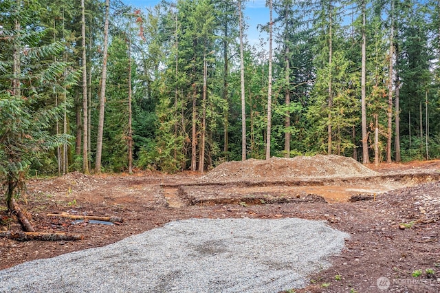 27577 207th Ave SE, Maple Valley, WA 98038 - photo 2