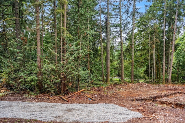 27577 207th Ave SE, Maple Valley, WA 98038 - photo 10