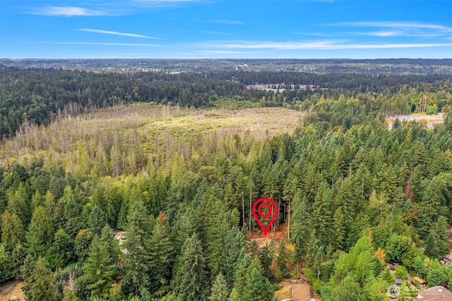 27577 207th Ave SE, Maple Valley, WA 98038 - photo 12