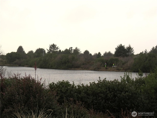 view of water feature with a wooded view