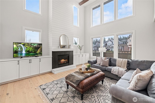 living area featuring a large fireplace and light wood finished floors