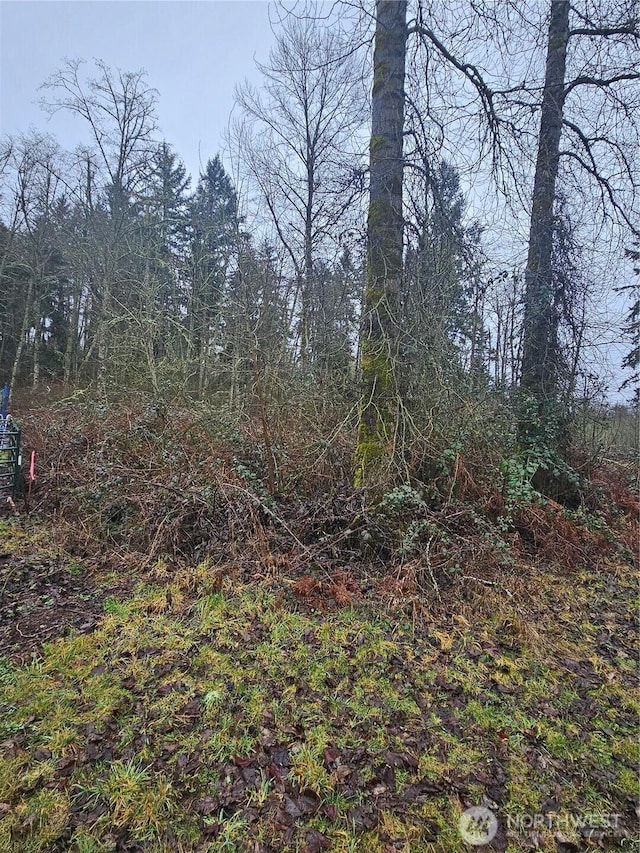 25905 96th Ave E, Graham WA, 98338 land for sale