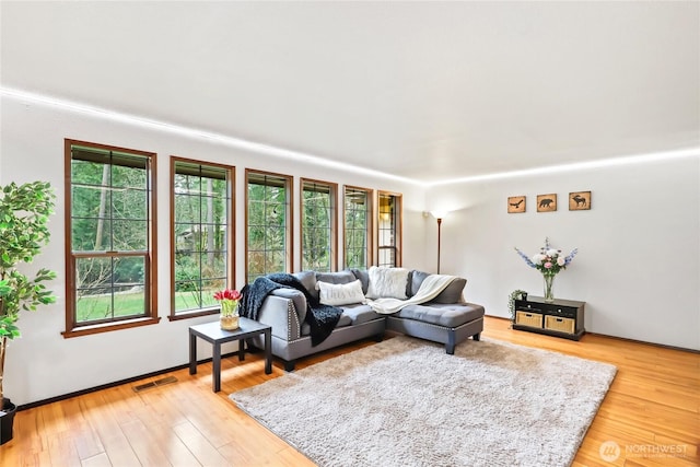 living room with plenty of natural light, light wood-type flooring, and visible vents