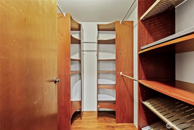 spacious closet featuring wood finished floors