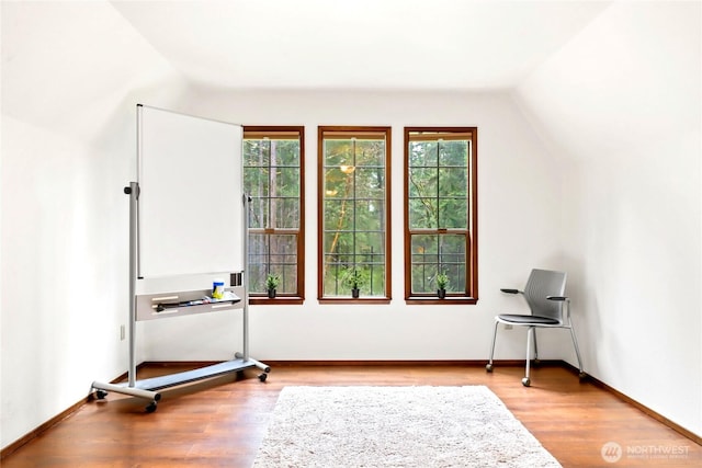 exercise room with vaulted ceiling, light wood-style floors, and a healthy amount of sunlight