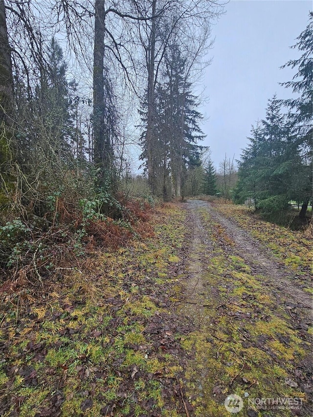 25933 96th Ave E, Graham WA, 98338 land for sale