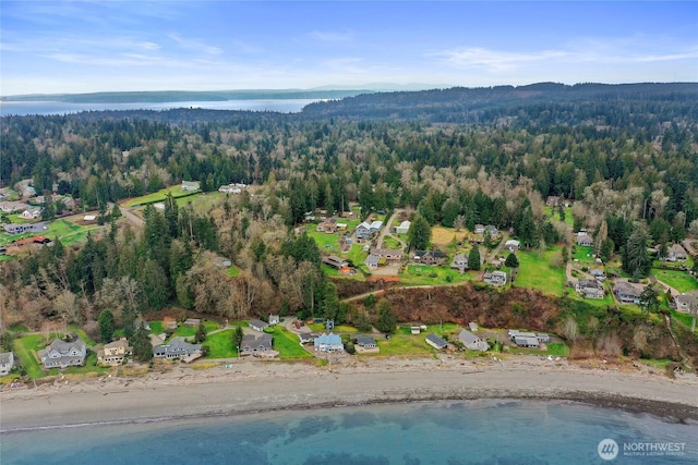 aerial view featuring a water view and a wooded view