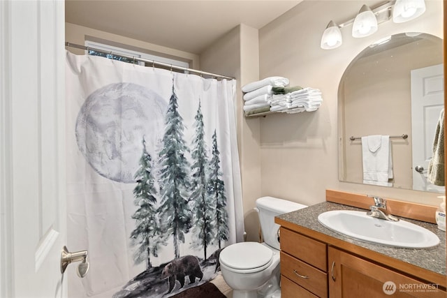 full bathroom with toilet, a shower with shower curtain, and vanity