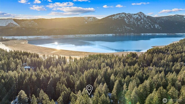 water view with a forest view and a mountain view