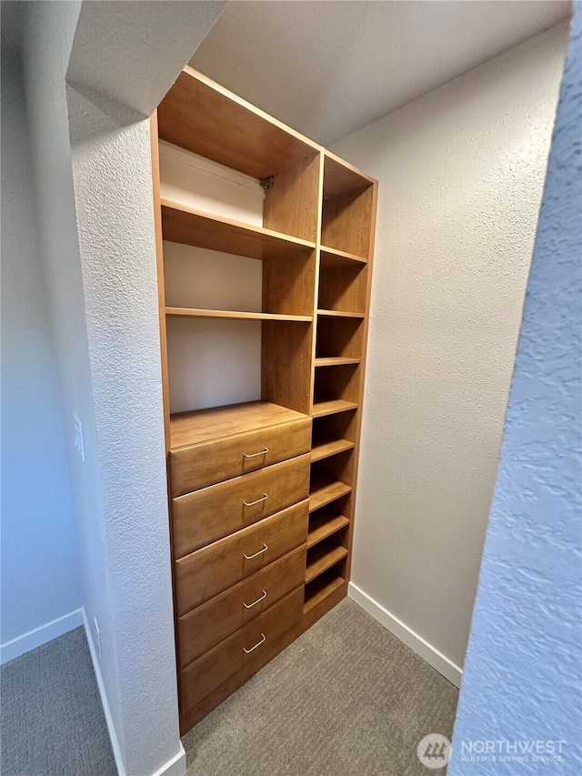 walk in closet featuring dark colored carpet