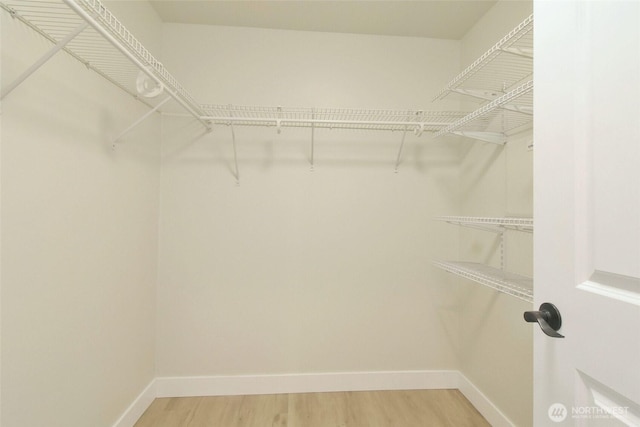 spacious closet with light wood-type flooring