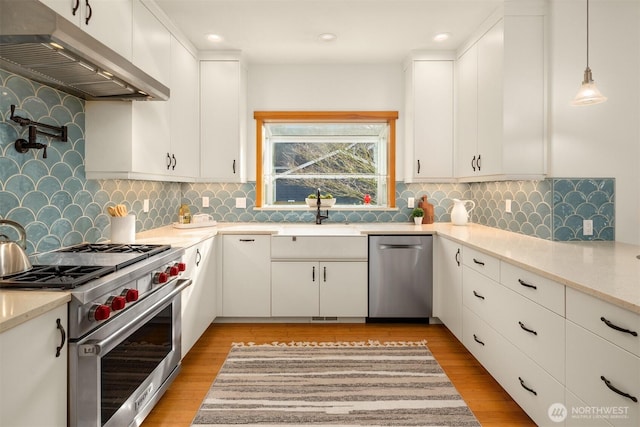 kitchen featuring light wood finished floors, appliances with stainless steel finishes, a sink, and under cabinet range hood