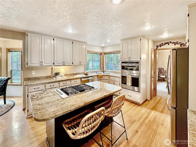 kitchen with appliances with stainless steel finishes, light wood-type flooring, and a healthy amount of sunlight