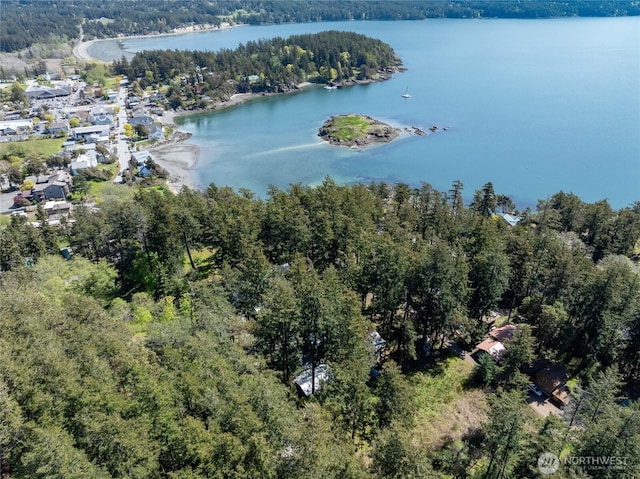 122 Geer Ln, Orcas Island WA, 98245 land for sale