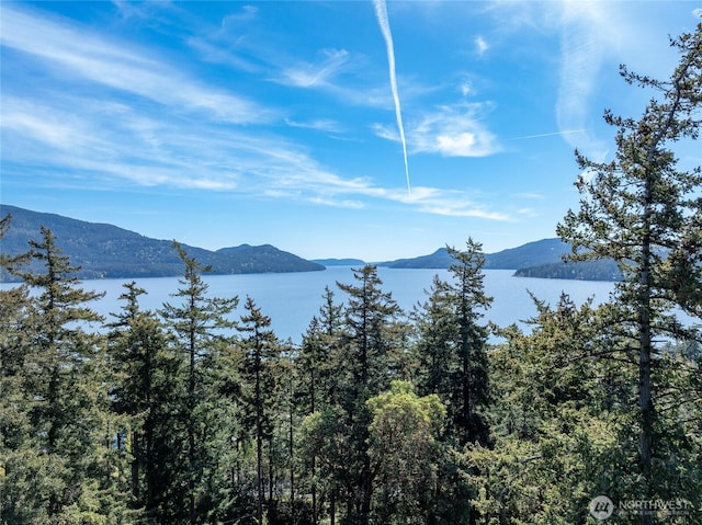 Listing photo 3 for 122 Geer Ln, Orcas Island WA 98245