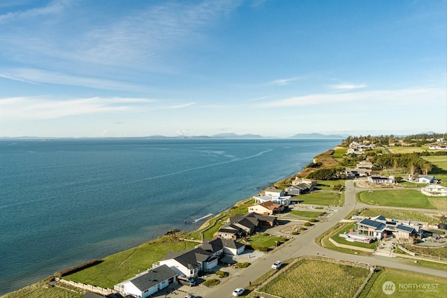 bird's eye view featuring a water and mountain view