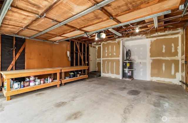 garage featuring a garage door opener and strapped water heater