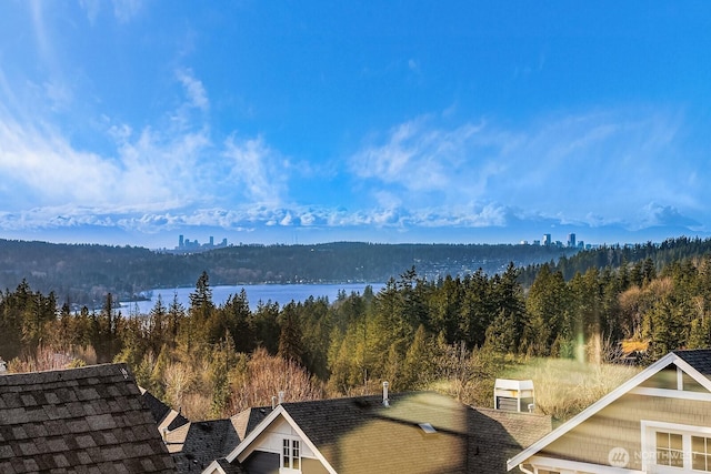 water view featuring a wooded view