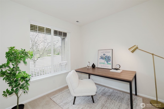 office space with carpet floors and baseboards