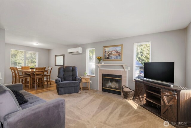 carpeted living area with a tile fireplace, a healthy amount of sunlight, and a wall mounted AC