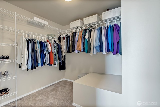 walk in closet with carpet