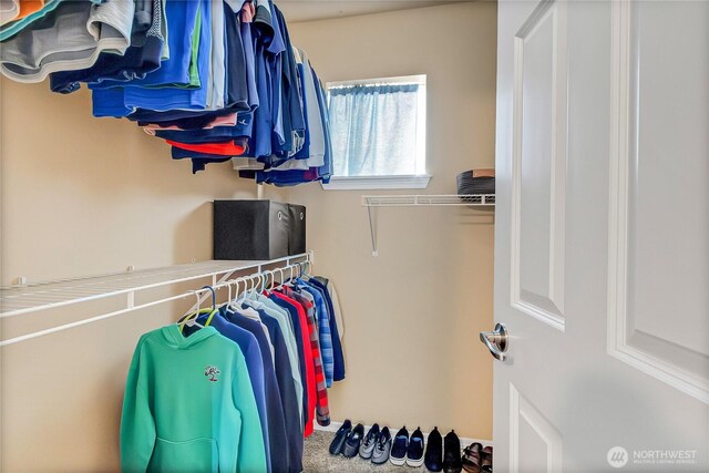 view of walk in closet