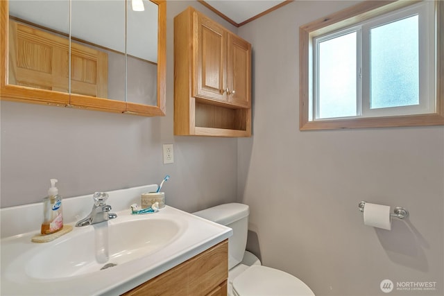 bathroom with toilet and vanity