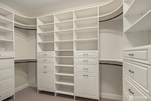 spacious closet with light colored carpet