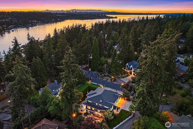 aerial view at dusk of a wooded view and a water view