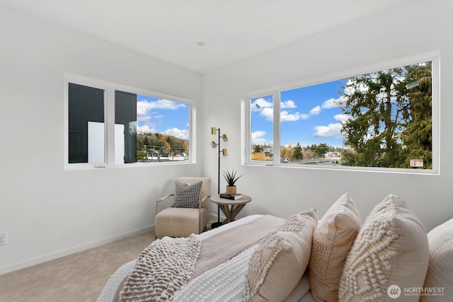 bedroom with light carpet and baseboards