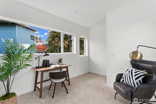 office area featuring baseboards and light colored carpet