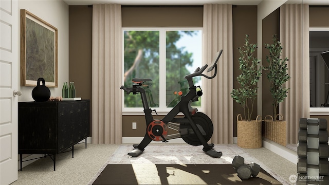 workout area with a healthy amount of sunlight and carpet flooring