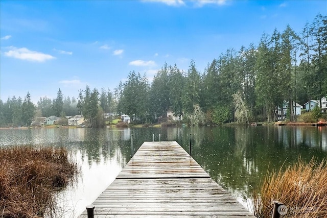 view of dock featuring a water view