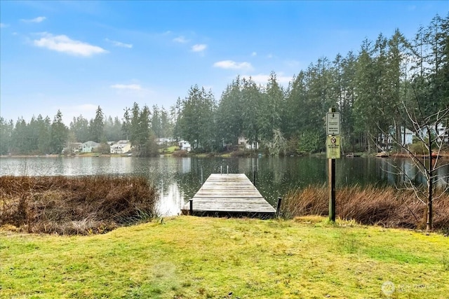 dock area with a water view