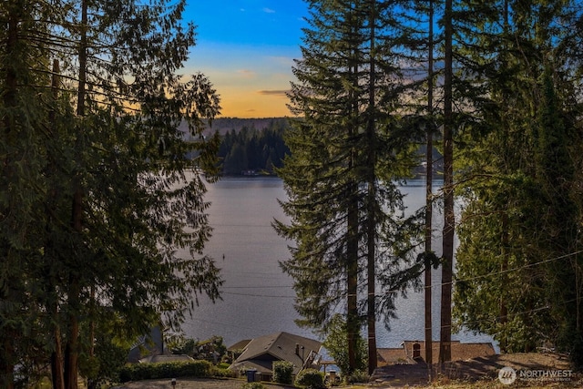 water view featuring a wooded view