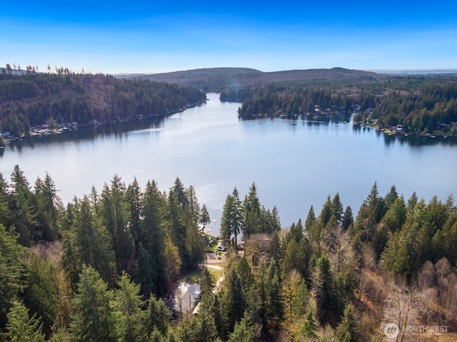 property view of water featuring a forest view