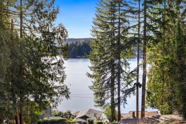 view of water feature featuring a view of trees