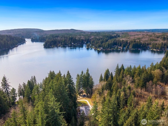 water view featuring a view of trees