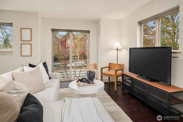 living area with dark wood-style flooring