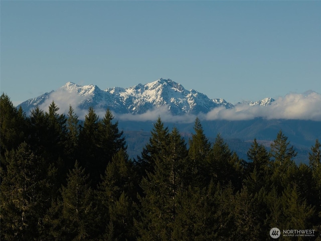 property view of mountains featuring a wooded view