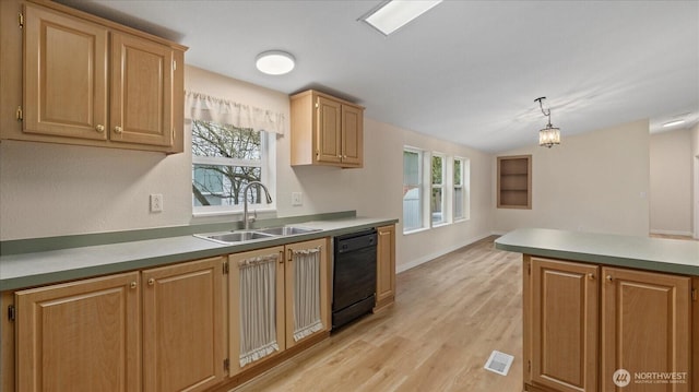 kitchen featuring dishwasher, light wood-type flooring, a sink, and a healthy amount of sunlight