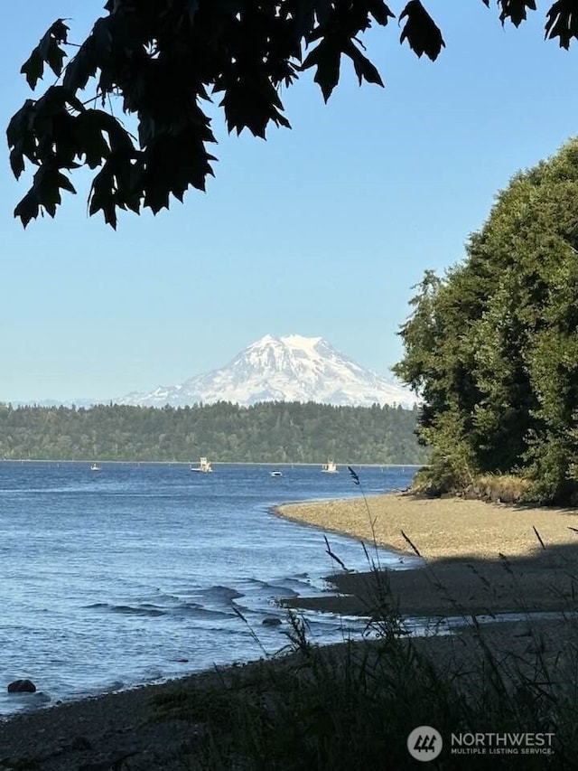 view of water feature with a mountain view